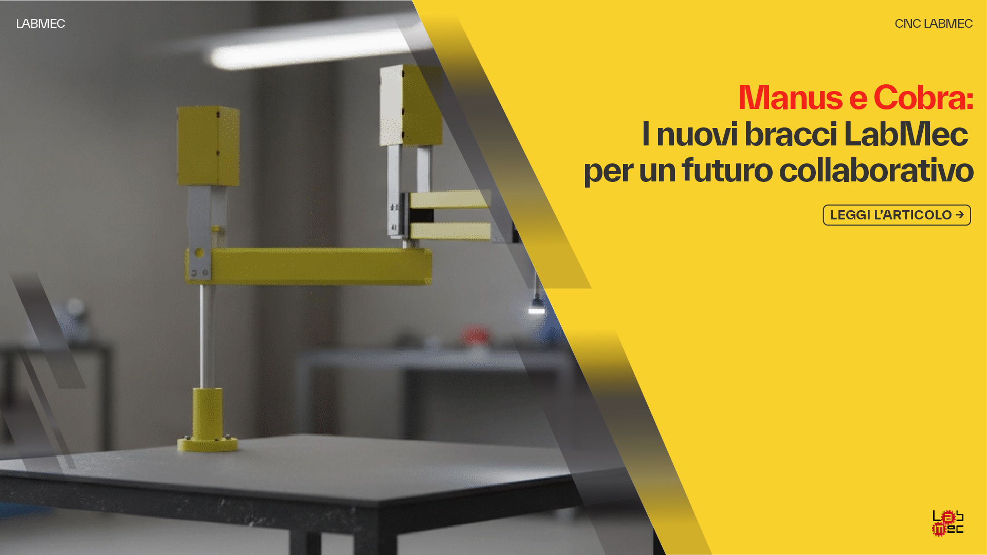 Copertina Articolo: